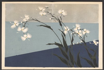 Patterns of plants and flowers from life by Furuya Korin