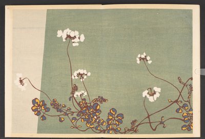 Patterns of Plants and Flowers from Life by Furuya Korin