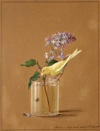 Canary Bird on a Lilac Branchlet by Fyodor Petrovich Tolstoy