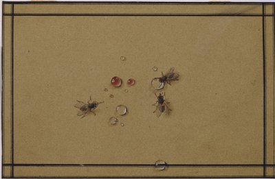The Flies at the Waterdrops by Fyodor Petrovich Tolstoy