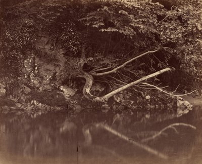 River Bank in the Vale of Neath by G.B. Gething