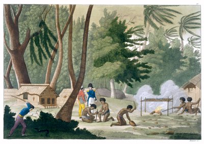Papu Tribe on the Isle of Rawak by G Bramati