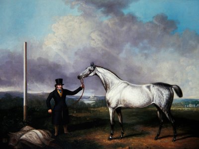 Gentleman holding a grey racehorse on a course by G. Jackson