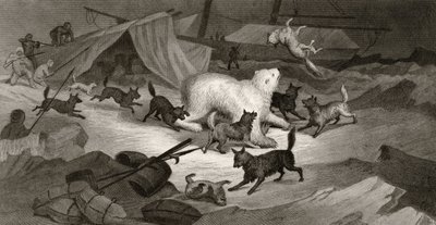 Bear Hunt, engraved by J.C. McRea, from 