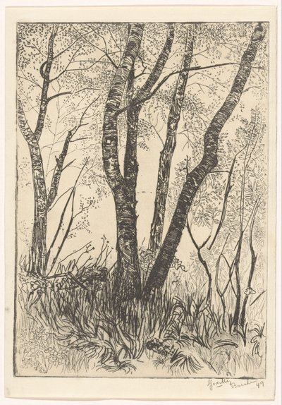 Trees in Tall Grass by G. van der Mey (signed by artist)