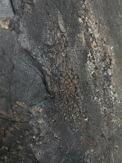 Deep Cracked Texture by Gabriela Aleksandra Szuba