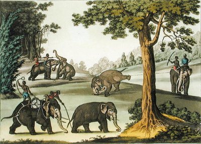 Capturing Elephants in Burma, plate 76 from 