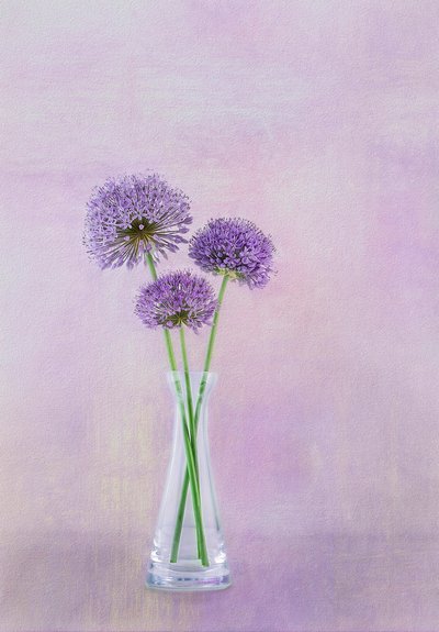 Purple Allium Vase Blooms by Gaille Gray