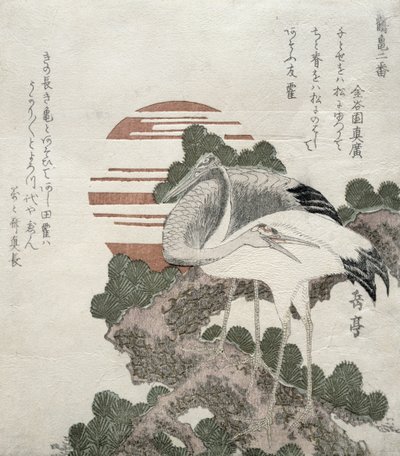 Crane (Tsuru) from the Series 2 Designs of Cranes and Turtles, 1818-30 by Gakutei Harunobu