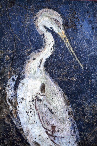 Roman Wall-Painting by Gallo-Roman