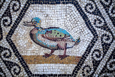 Roman Mosaic by Gallo-Roman Gallo-Roman
