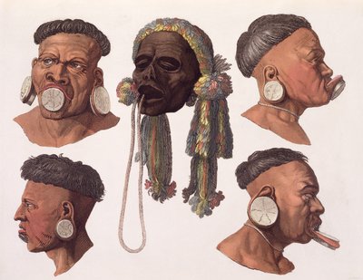 Heads of Botocudos Indians by Gallo Gallina