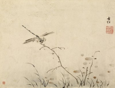 Dragonfly by Gao Qipei