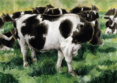 Friesian Cows by Gareth Lloyd Ball