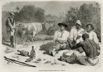 A group of vaqueros playing cards and drinking alcohol, near their herds of oxen. Engraving after a drawing by G. Vuillier, to illustrate the story De Cayenne aux Andes, by Jules Crevaux, doctor of the French navy, in 1878-1879, published in the Tour du mo by Gaston Vuillier