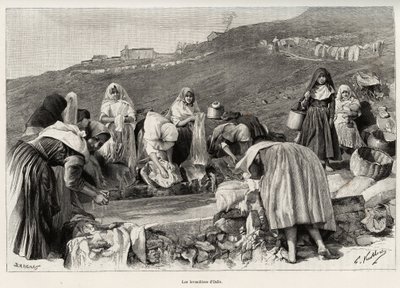 The lavender of Osilo (Italy), women gathered around the basin (engraving and story 