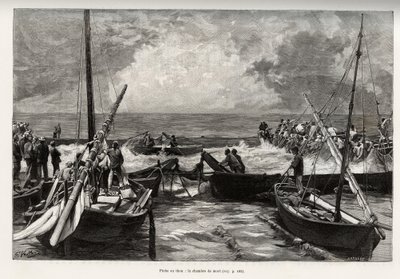 Tuna fishing (mattanza): the death chamber, tuna presses in a tight space are covered by the harpoons of the fishermen. Engraving and story 