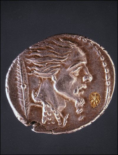 Presumed Profile of Vercingetorix on a Gauloise Piece. Museo del Medagliere. Milan by Gaulish Gaulish