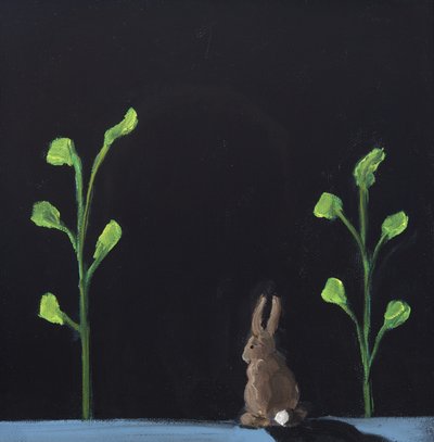 Night Rabbit by Genevieve French