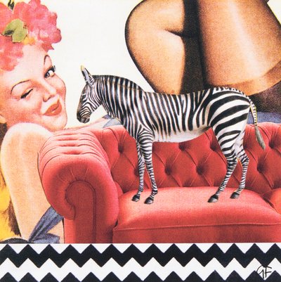 ZigZagZebra by Genevieve French