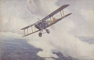 Sopwith Dolphin fighter plane by Geoffrey (after) Watson