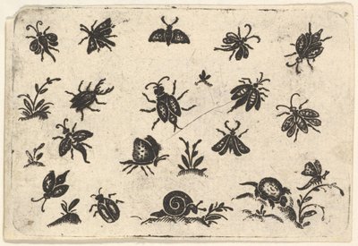 Small Motifs of Insects and Plants by Georg Herman