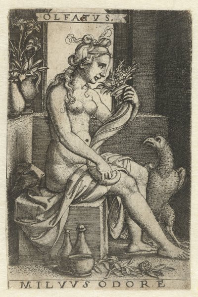 Smell (Olfactus), Olfatvs milvvs odore (title on object), Five Senses (series title) by Georg Pencz