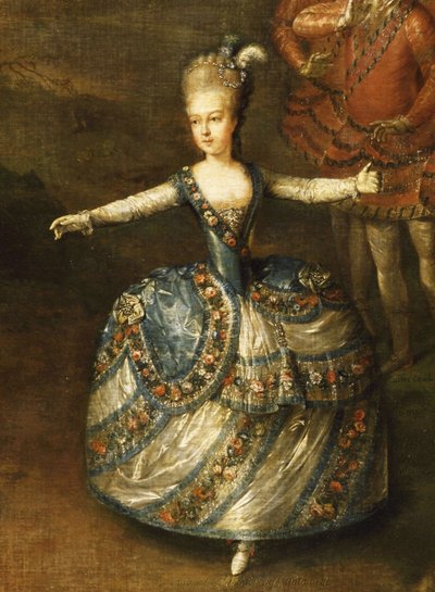 Fête Organized to Celebrate the Marriage of the Emperor Joseph II to Princess Marie-Josèphe of Bavaria by Johann Georg Weikert