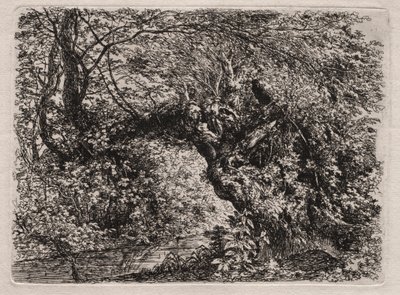 The Old Willow at a Brook by Georg von Dillis