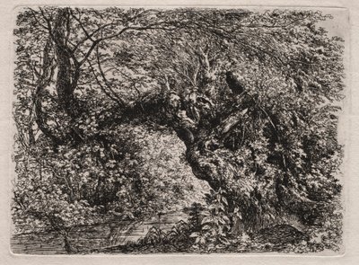 The Old Willow at a Brook, 1794 by Georg von Dillis