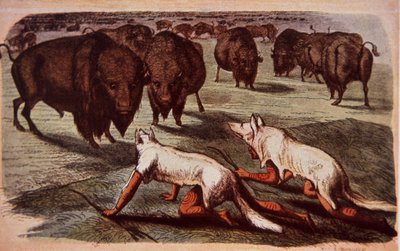 North American Plains Indians creep up on grazing buffalo while wearing wolf skins, c.1840 by George (after) Catlin