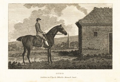 Portrait of the thoroughbred racehorse Otho by George (after) Stubbs