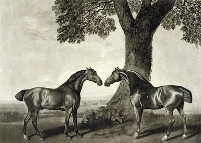 Two Hunters (engraved by G.T. Stubbs) by George (after) Stubbs