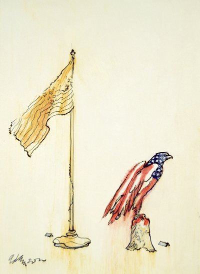 American Eagle Acquires US Flag Colouration by George Adamson