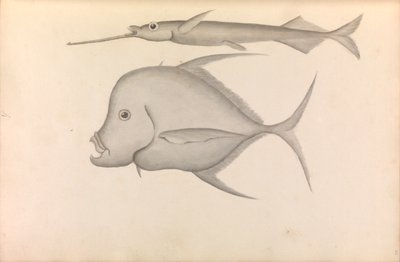Account of Commodore George Anson