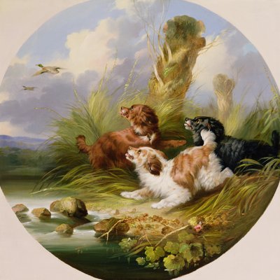 Three Spaniels Flushing Mallard by George Armfield