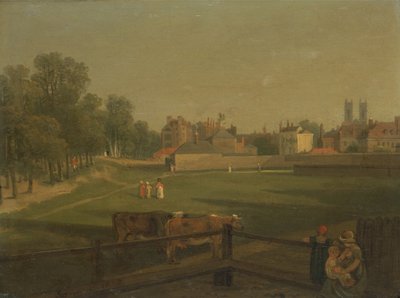A Western View of Part of Westminster and Bird Cage Walk, from Mill House by George Arnald