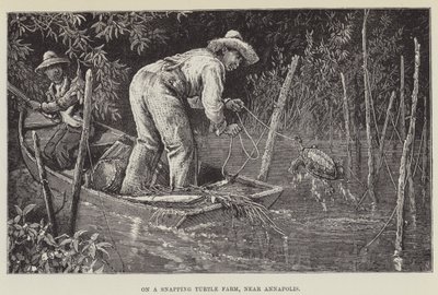 On a Snapping Turtle Farm, Near Annapolis by George Augustus Sala
