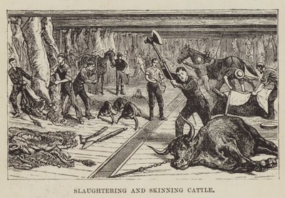 Slaughtering and Skinning Cattle by George Augustus Sala