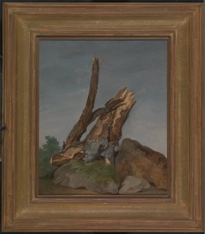Study of Rocks and Branches by George Augustus Wallis