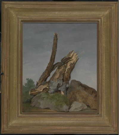 Study of Rocks and Branches by George Augustus Wallis