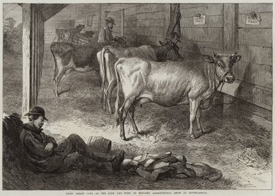 Prize Jersey Cows at the Bath and West of England Agricultural Show at Southampton by George Bouverie Goddard