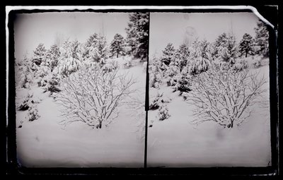 Prospect Park, Brooklyn by George Bradford Brainerd