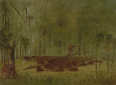 A Fight with Peccaries - Caribbe, 1854-1869 by George Catlin