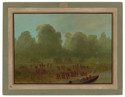 A Mayoruna Village by George Catlin