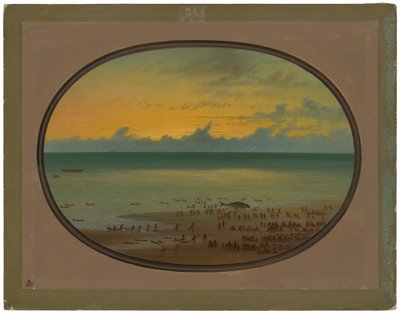 A Whale Ashore - Klahoquat by George Catlin