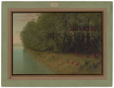 An Amazon Forest - Looking Ashore by George Catlin