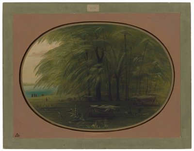 An Indian Village - Shore of the Amazon by George Catlin