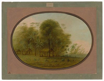 Arowak Village by George Catlin