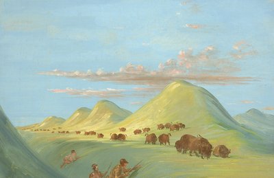 Batiste, Bogard, and I Approaching Buffalo on the Missouri by George Catlin